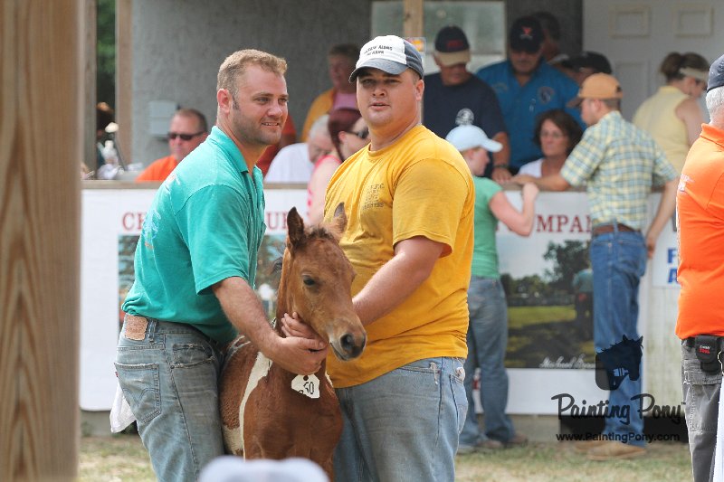 ponypenning12-441.JPG