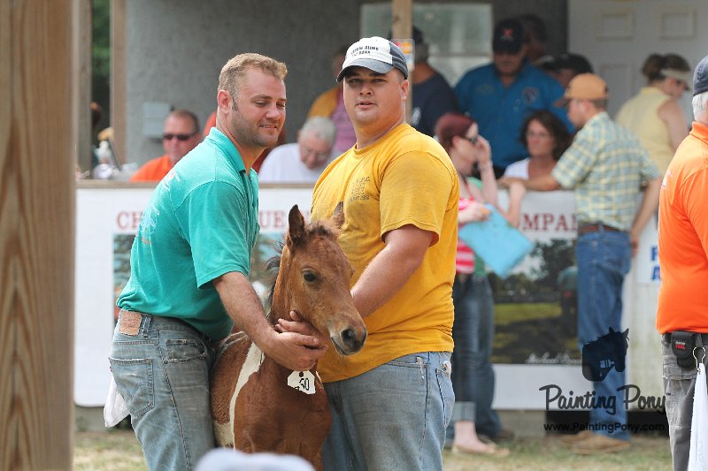 ponypenning12-442.JPG
