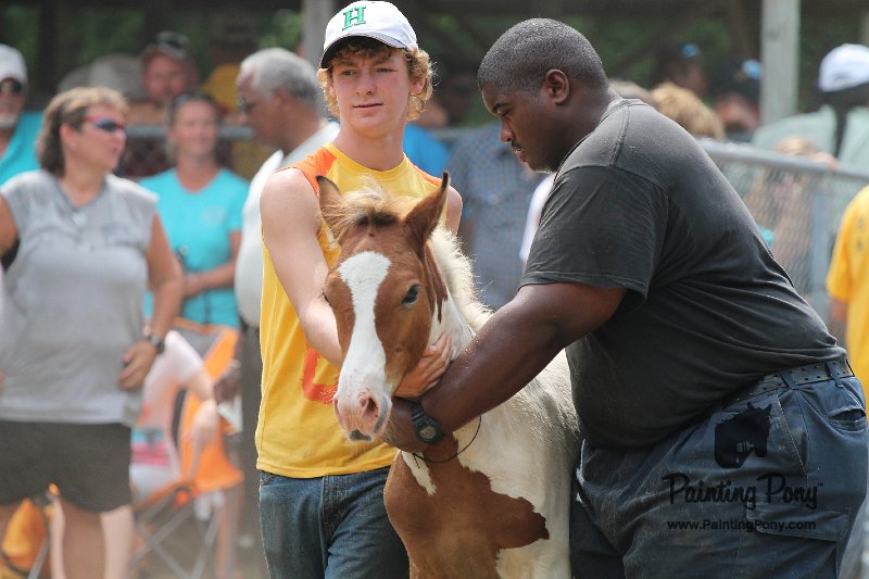 ponypenning12-446.JPG