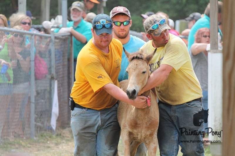 ponypenning12-452.JPG