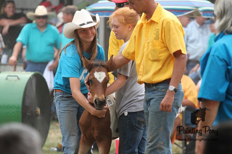 ponypenning12-461.JPG