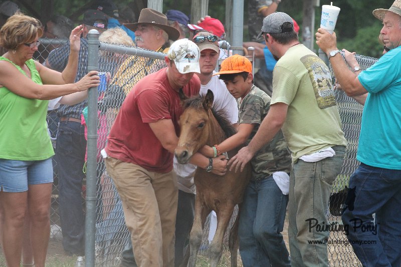 ponypenning12-464.JPG