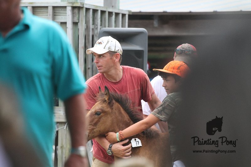 ponypenning12-471.JPG