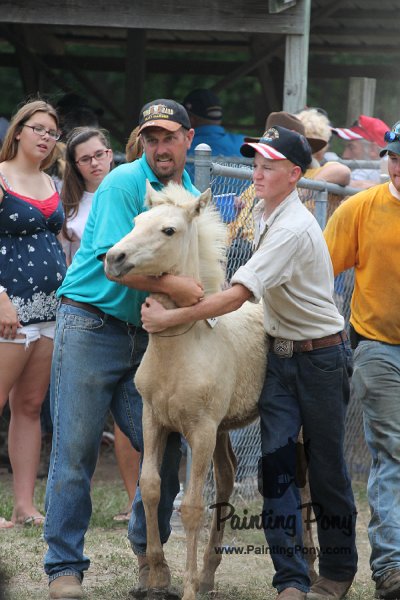 ponypenning12-474.JPG