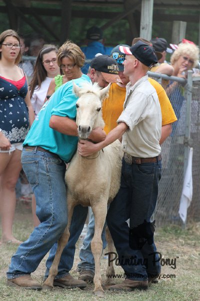 ponypenning12-476.JPG