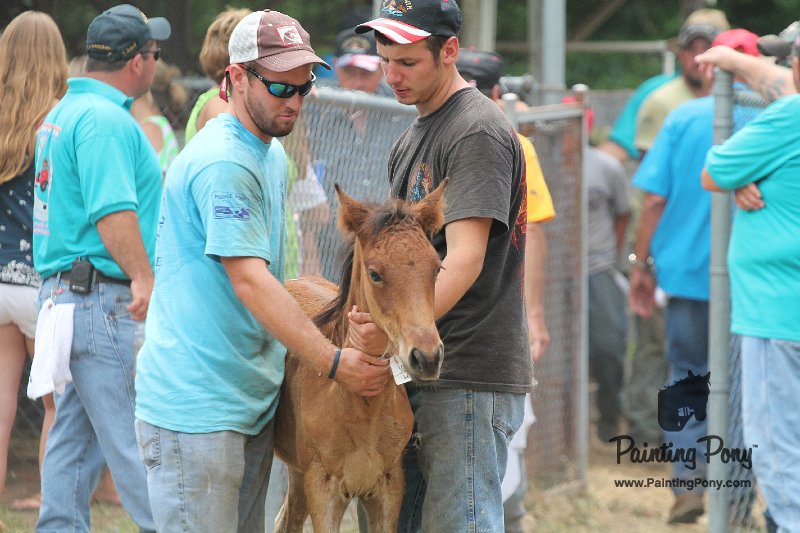 ponypenning12-487.JPG