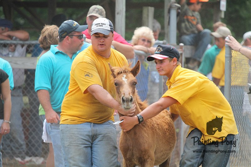 ponypenning12-501.JPG