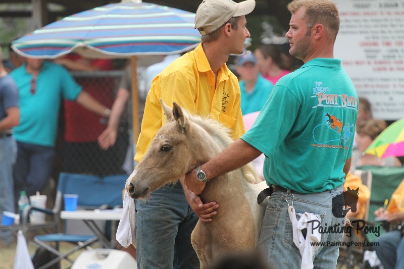 ponypenning12-511.JPG