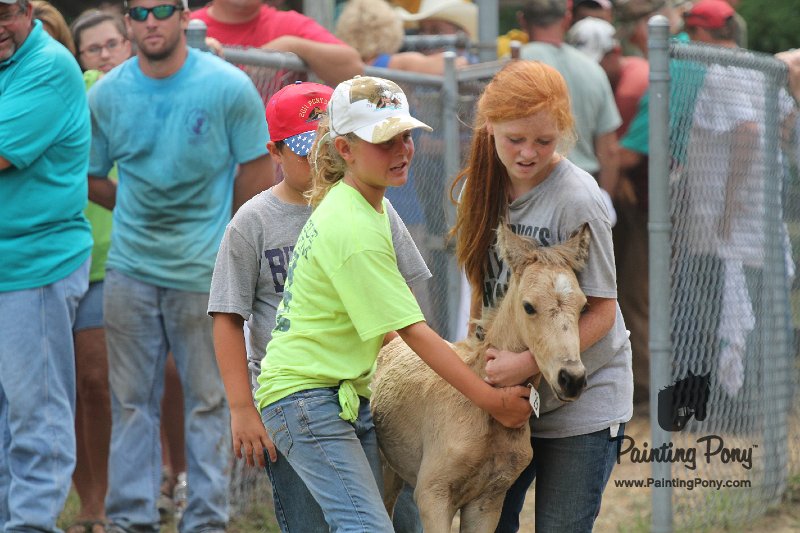 ponypenning12-514.JPG