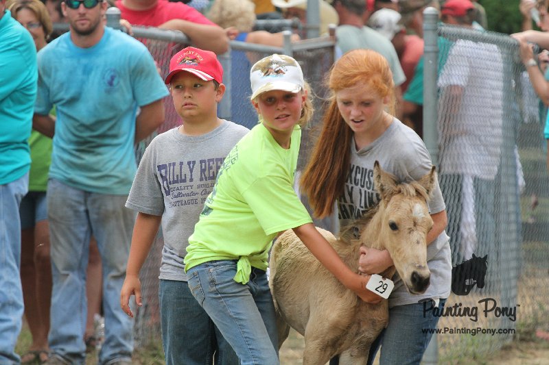 ponypenning12-515.JPG