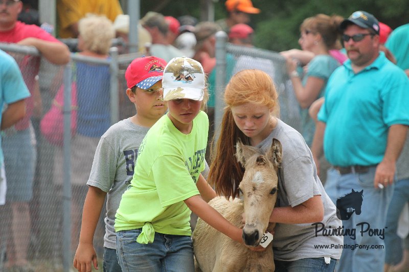 ponypenning12-517.JPG