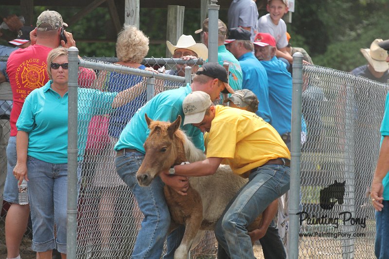 ponypenning12-526.JPG
