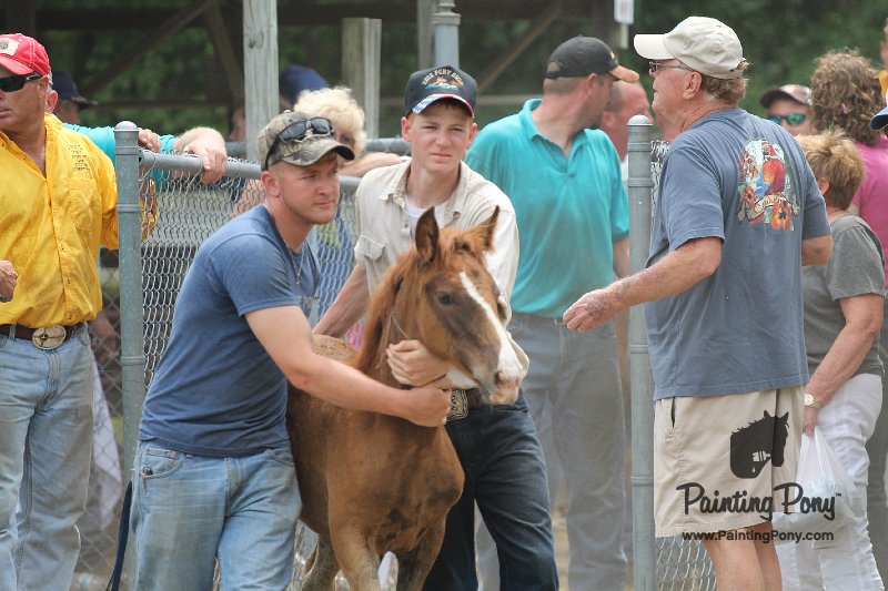 ponypenning12-532.JPG