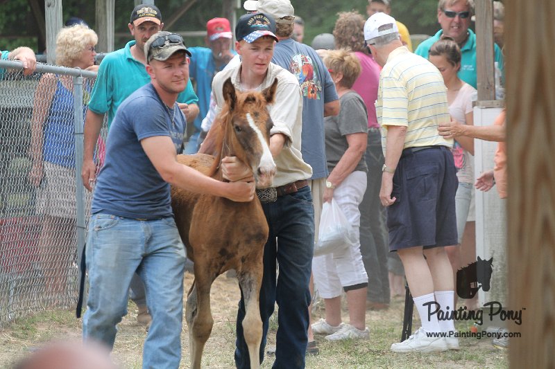 ponypenning12-533.JPG