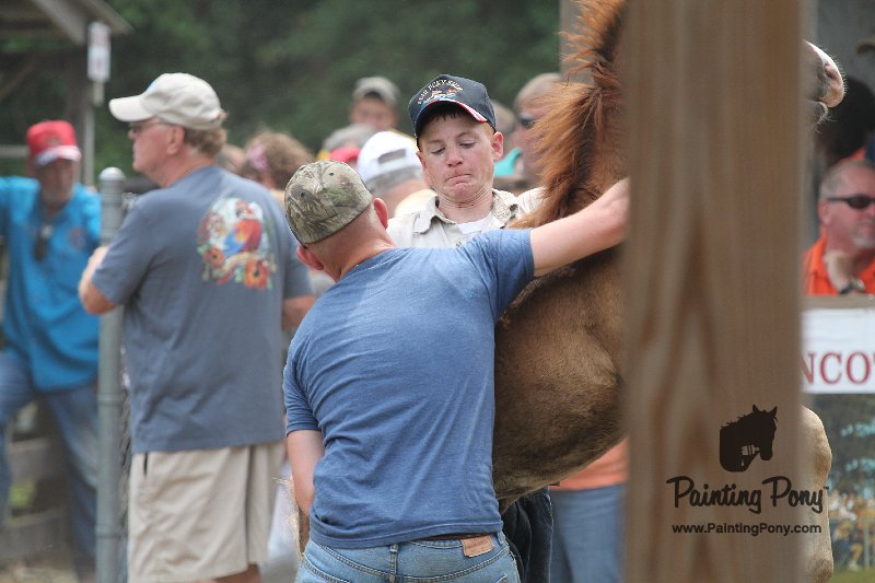 ponypenning12-534.JPG