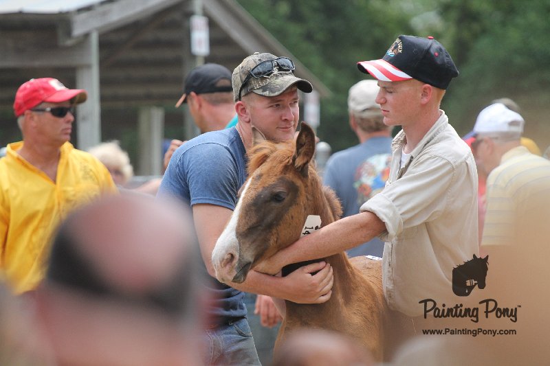 ponypenning12-537.JPG