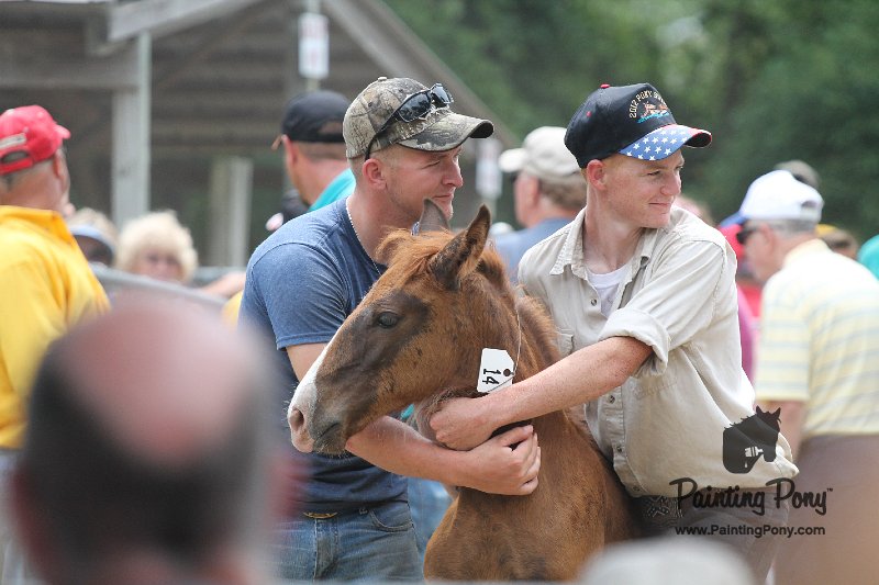 ponypenning12-538.JPG
