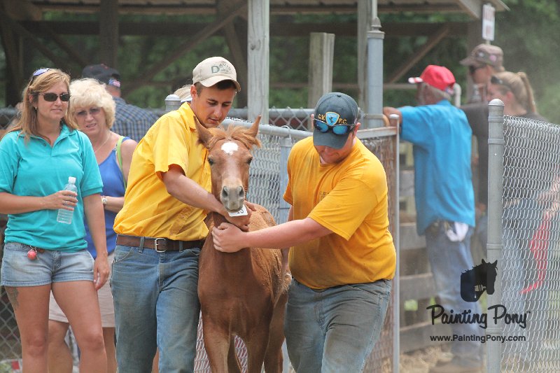 ponypenning12-546.JPG