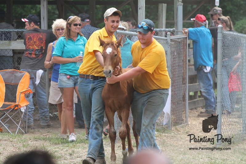 ponypenning12-547.JPG