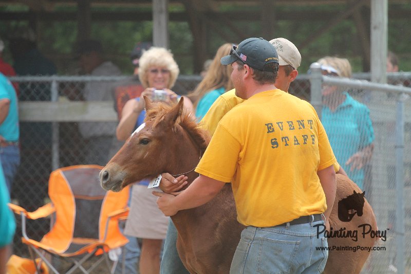 ponypenning12-549.JPG