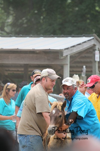 ponypenning12-559.JPG