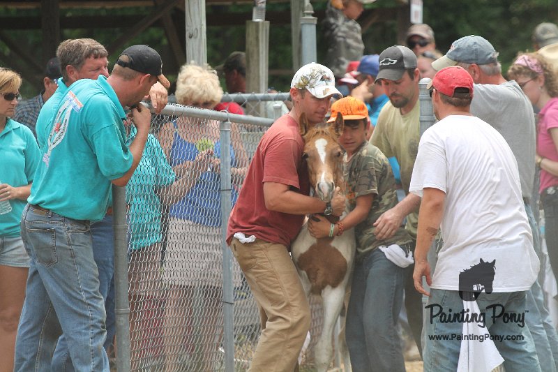 ponypenning12-563.JPG