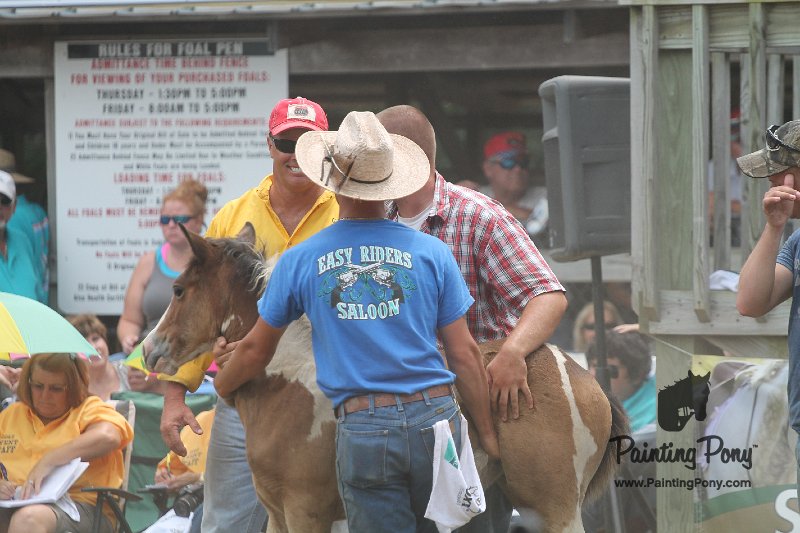 ponypenning12-579.JPG
