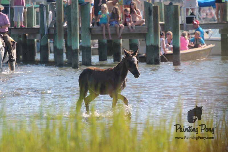 ponypenning12-81.JPG