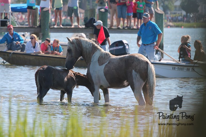 ponypenning12-83.JPG