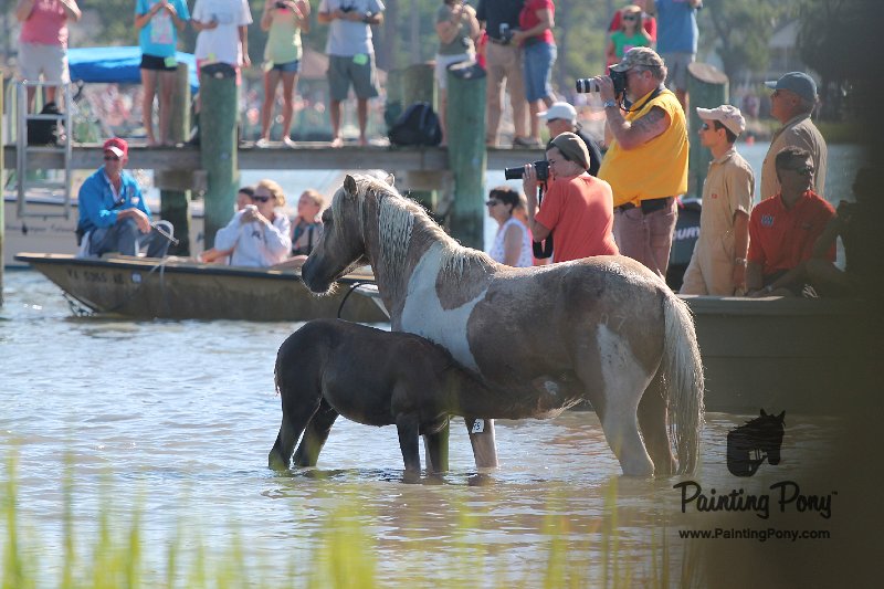 ponypenning12-86.JPG