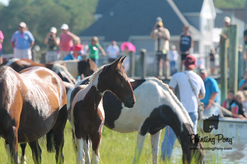 ponypenning12-94.JPG