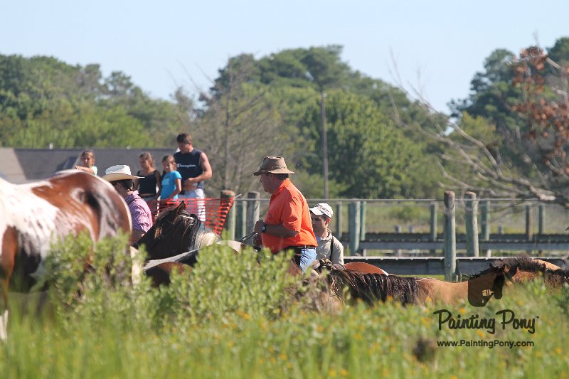 ponypenning12-96.JPG