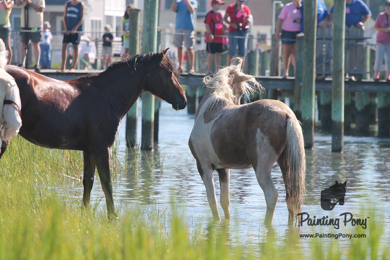 ponypenning12-97.JPG