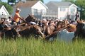 ponypenning12-100