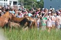 ponypenning12-102