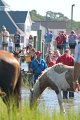 ponypenning12-108