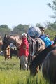 ponypenning12-116