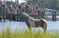 ponypenning12-118