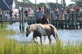 ponypenning12-119