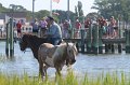 ponypenning12-120