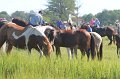 ponypenning12-126