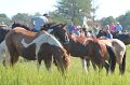 ponypenning12-127