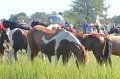 ponypenning12-128