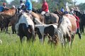 ponypenning12-143
