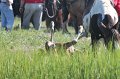 ponypenning12-145