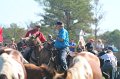 ponypenning12-147