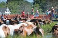 ponypenning12-163