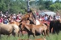 ponypenning12-171