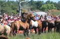 ponypenning12-173