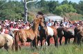 ponypenning12-174